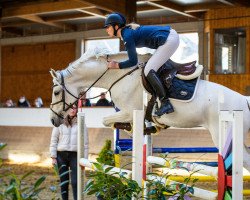 jumper Hovette (KWPN (Royal Dutch Sporthorse), 2012, from Quality Time)