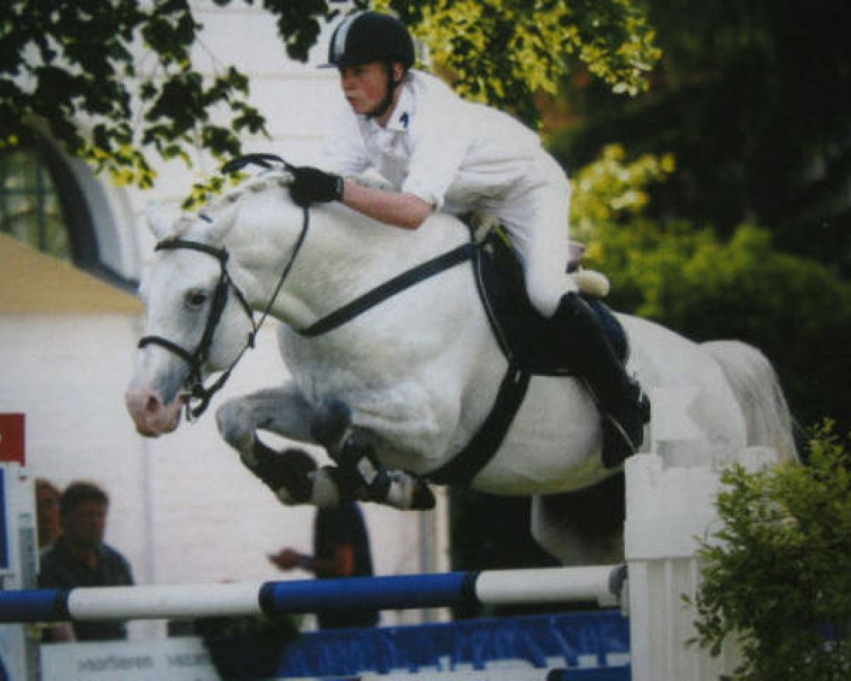 Deckhengst Briscar (Holsteiner, 1993, von Bachus)