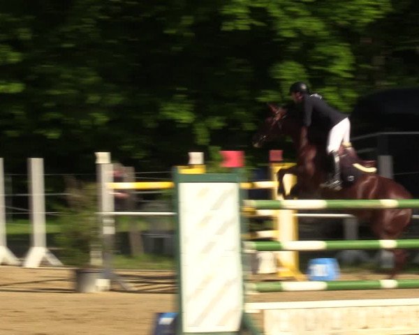 Reitturnier Dinslaken-Hiesfeld 2022