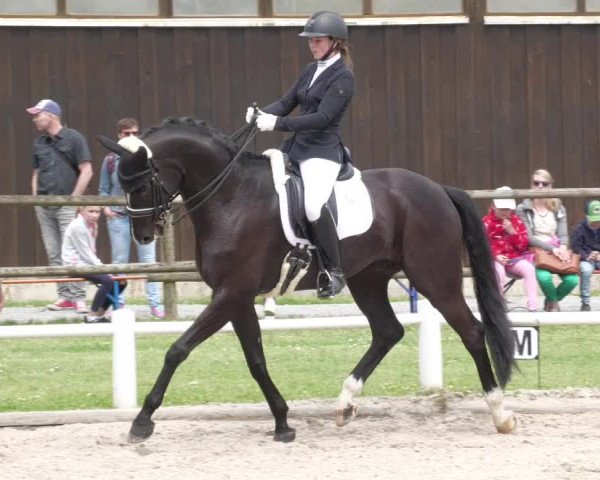 Reitturnier Bietigheim-Bissingen 2022