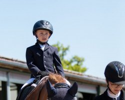 dressage horse For Winner (Westphalian, 2008, from For Compliment)