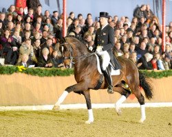 Deckhengst Blue Hors Leredo (Dänisches Warmblut, 2001, von Leandro)