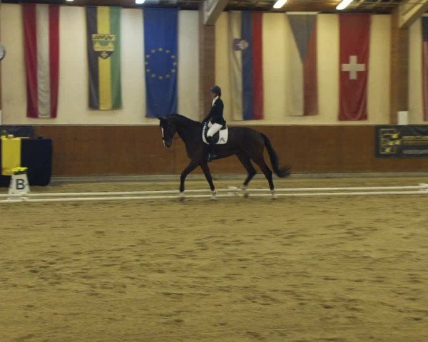 Reitturnier Weikersdorf am Steinfelde 2022