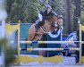 jumper Casino 96 (German Riding Pony, 2016, from Casino Royale K WE)