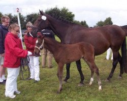 broodmare Mary (Mecklenburg, 1990, from Meerwirbel xx)