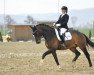 dressage horse Florens (Bavarian, 2013, from Florestan I)