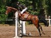 jumper Chiara de Barcenal Z (Zangersheide riding horse, 2005, from Caridor)