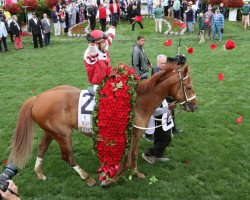 horse Rich Strike xx (Thoroughbred, 2019, from Keen Ice xx)