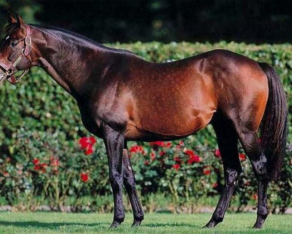 stallion Pistolet Bleu xx (Thoroughbred, 1988, from Top Ville xx)