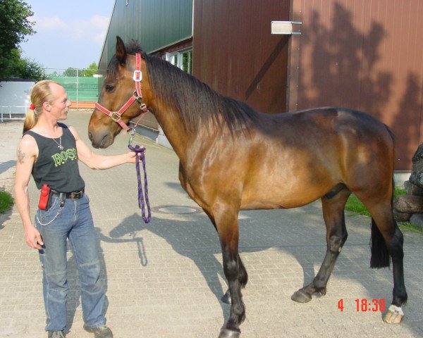 horse Garry (Traber, 1993, from Suntan Gold (US))