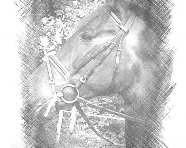 horse King Balando (Trakehner, 1996, from Preussenprinz)