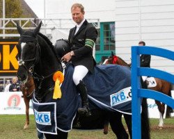 stallion Carusso Ls La Silla (Mexican Riding Horse, 2002, from Portofino)