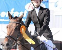 dressage horse Catwalk 6 (Welsh Partbred, 1997, from La Bella)