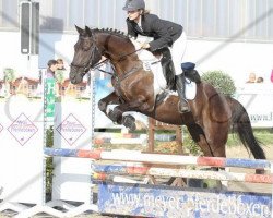 jumper Theodor 18 (German Warmblood, 2005)