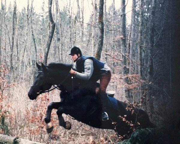 broodmare Safari (Bavarian, 1987, from Gasparone)