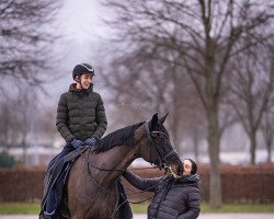 broodmare Francis Royal 4 (Württemberger, 2013, from Franziskus FRH)