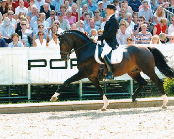 stallion Falkenfürst (Hessian Warmblood, 1998, from Fidermark)