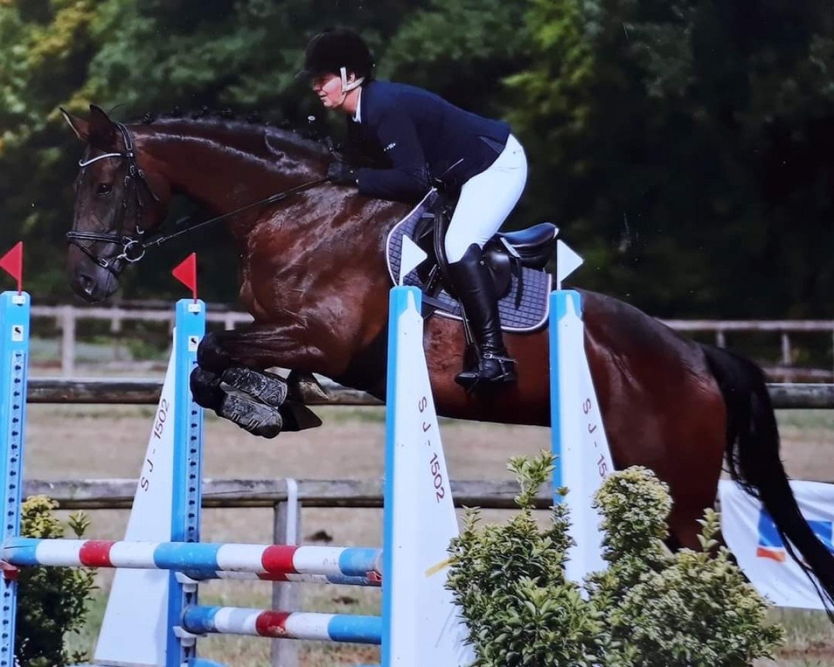 dressage horse Dea 32 (Westphalian, 2013, from Monte Cain)