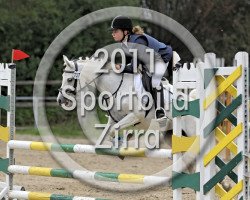 dressage horse Naomi 233 (German Riding Pony, 2001)