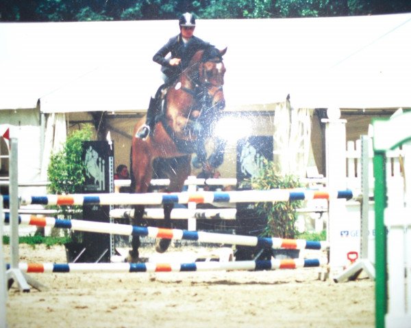 jumper Conoco (Hanoverian, 1997, from Carbid 3)