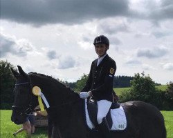 dressage horse Dantissimo (German Sport Horse, 2015, from Dante Weltino Old)