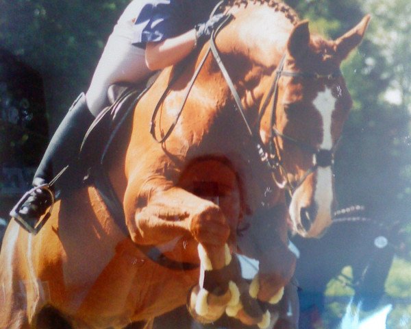 dressage horse Diamantos (Mecklenburg, 1982, from Diabolo)