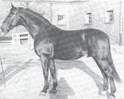 stallion Abenteurer (Hanoverian, 1940, from Abendsport 3109)