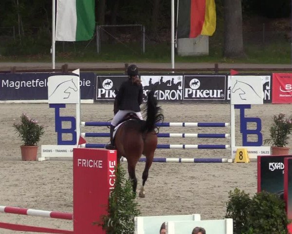 Reitturnier Westergellersen 2022
