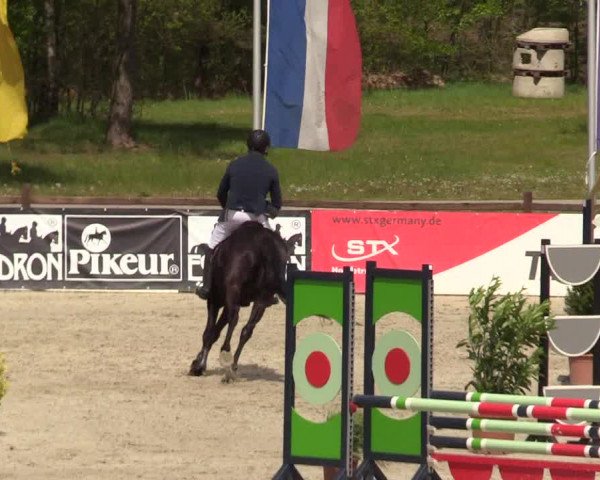 Reitturnier Westergellersen 2022
