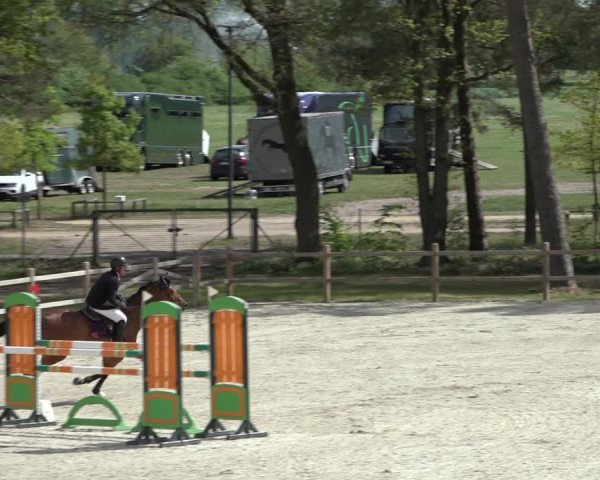 Reitturnier Westergellersen 2022
