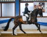 dressage horse Giorgio IV (KWPN (Royal Dutch Sporthorse), 2011, from Andretti)