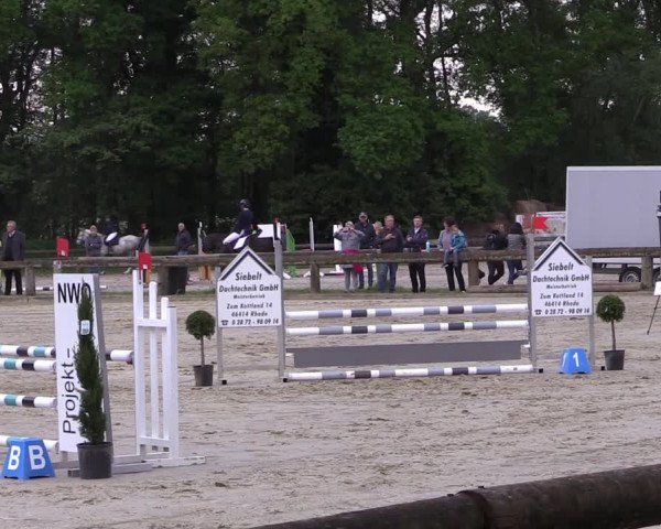 Reitturnier Rhede 2022