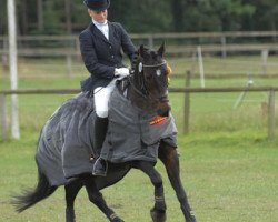 dressage horse Baju (German Riding Pony, 1994, from Bayus)