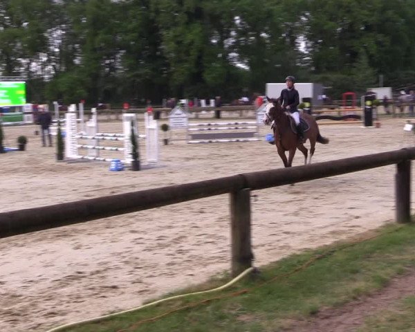 Reitturnier Rhede 2022