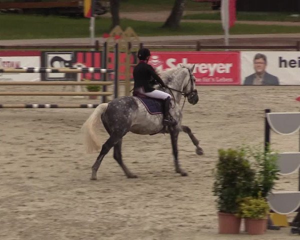 Reitturnier Westergellersen 2022