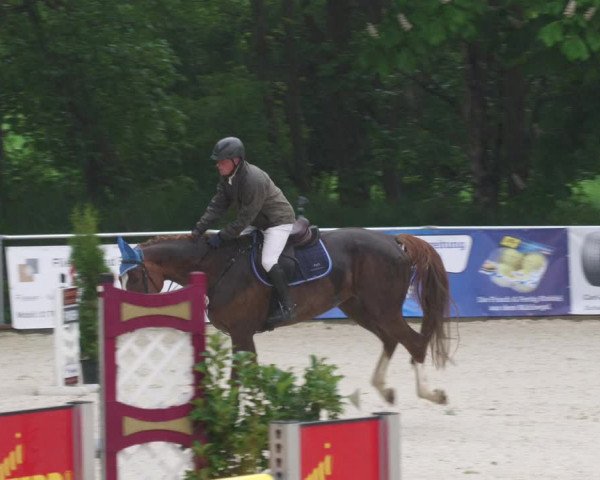 Reitturnier Karlsfeld/Obb. 2022