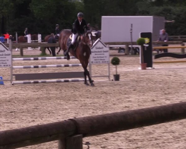 Reitturnier Rhede 2022