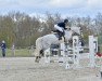 jumper Clever And Sweet Bella (Holsteiner, 2010, from Carlos DZ)