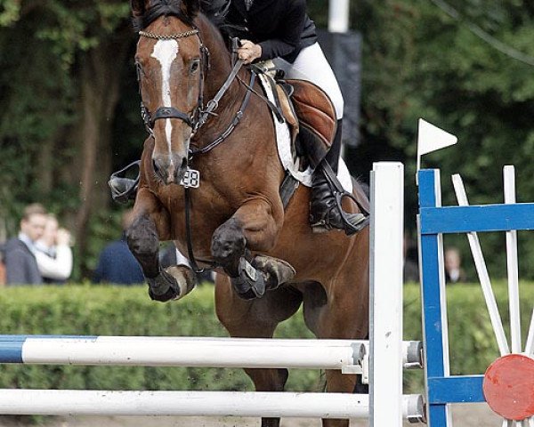 Springpferd Barthez 2 (KWPN (Niederländisches Warmblut), 2006, von Sable Rose)