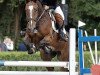 jumper Barthez 2 (KWPN (Royal Dutch Sporthorse), 2006, from Sable Rose)