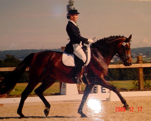 broodmare Cantara II (Luxembourg horse, 1994, from Chromat)