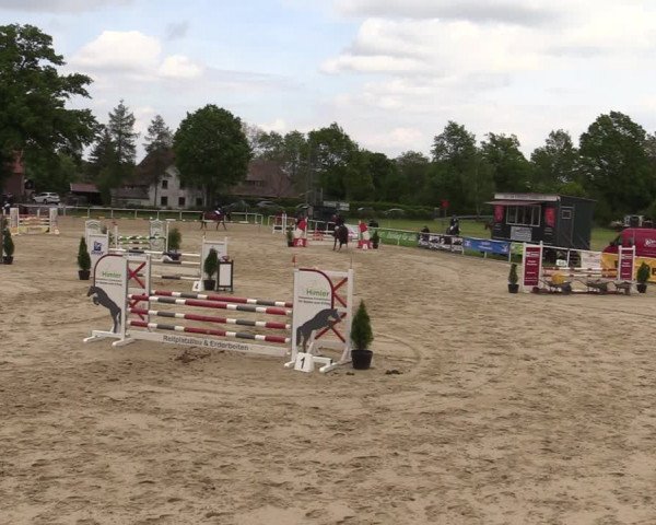 Reitturnier Ostenfelde-Vornholz 2022