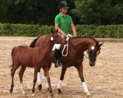 broodmare Kinley (German Riding Pony, 1998, from Kaiserjaeger xx)