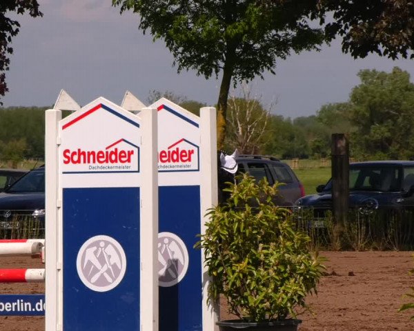 Reitturnier Lentzke - Reitanlage Krehl 2022