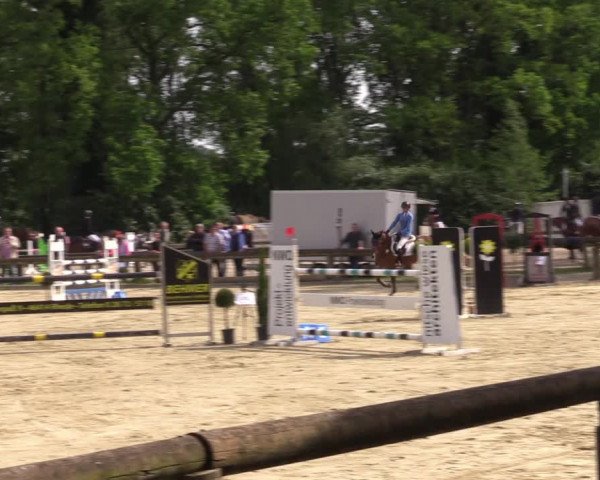 Reitturnier Rhede 2022