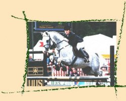 stallion Robin (German Riding Pony, 1993, from Ramano)