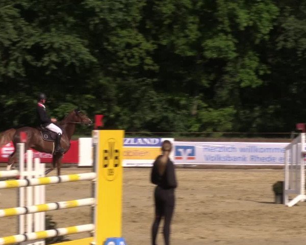 Reitturnier Rhede 2022