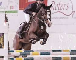 broodmare Alposa's Mercedes (German Riding Pony, 2006, from FS Maracaibo)