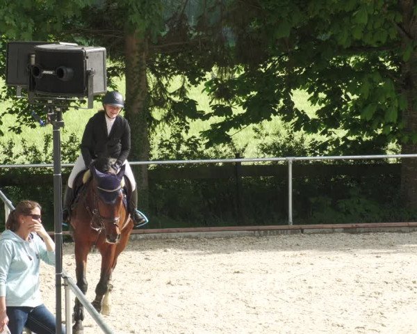 Reitturnier Karlsfeld/Obb. 2022
