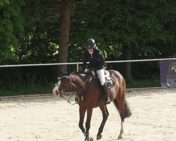 Reitturnier Karlsfeld/Obb. 2022